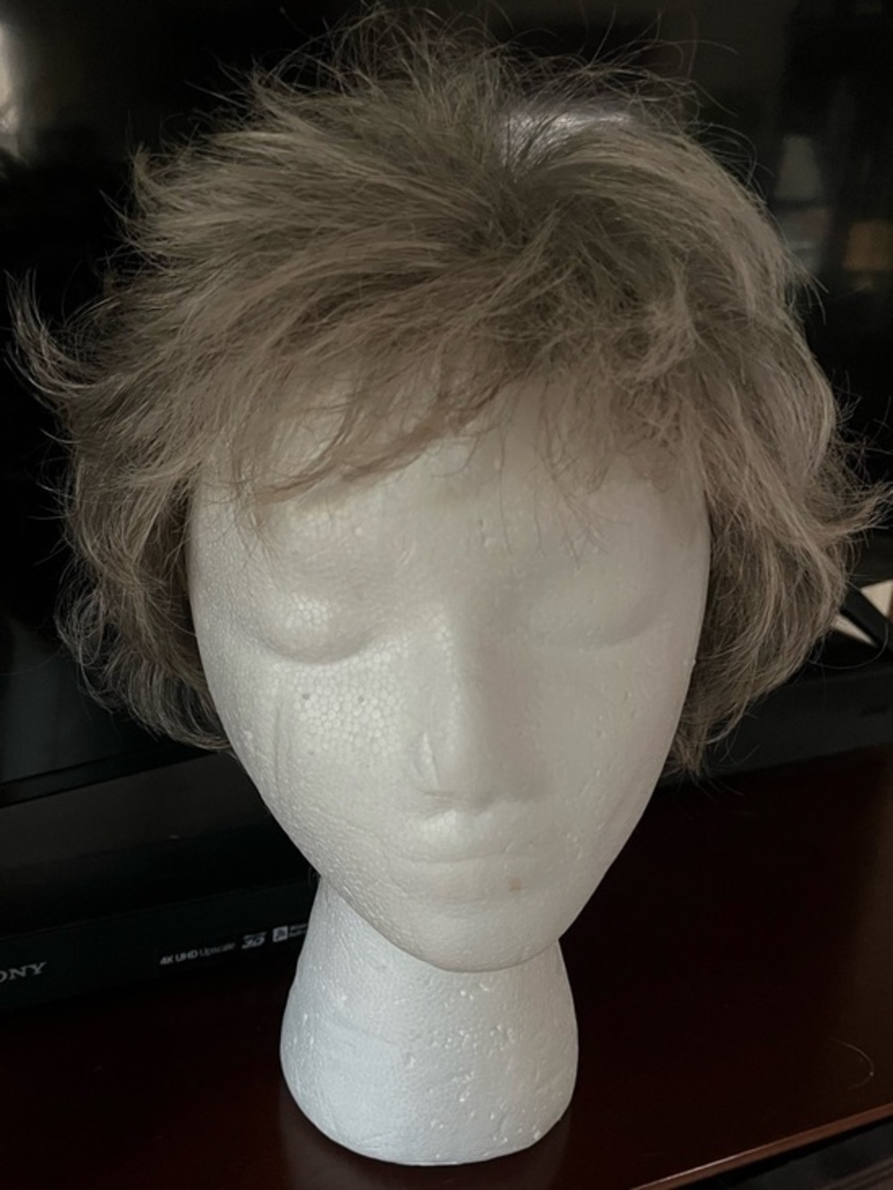 Paula Young Wig, Celebrity, Silvery Moon NIB